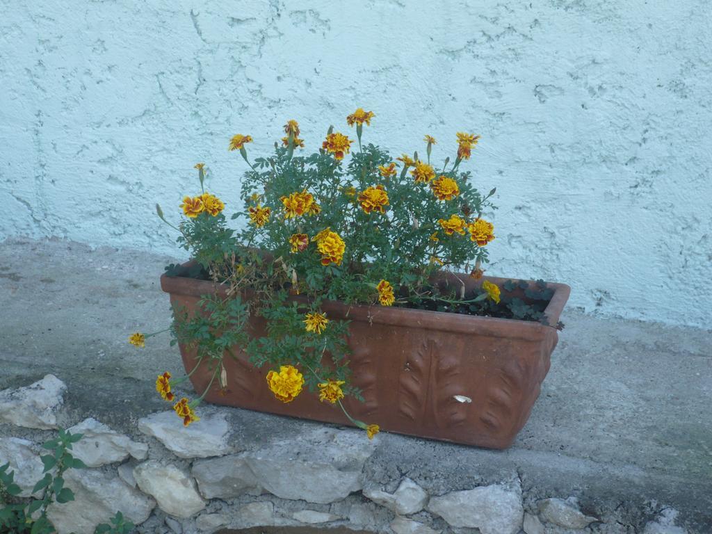 Appartamento Michela Brenzone sul Garda Quarto foto